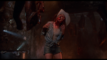 Load image into Gallery viewer, The Texas Chainsaw Massacre 2 (4K UHD/BluRay)
