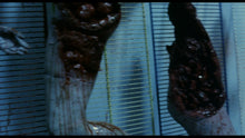 Load image into Gallery viewer, Night Train To Terror (Blu Ray)
